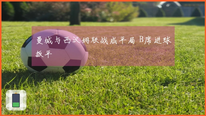 曼城与西汉姆联战成平局 B席进球扳平